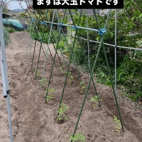 画像298