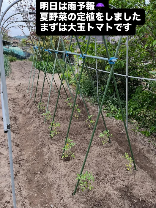 画像298